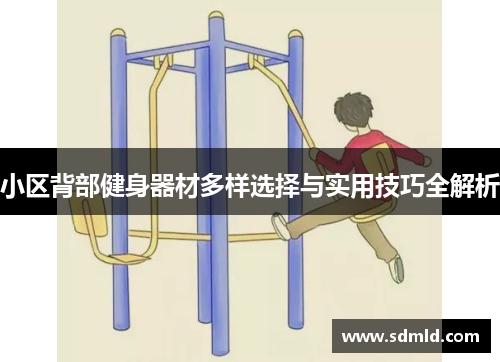 小区背部健身器材多样选择与实用技巧全解析